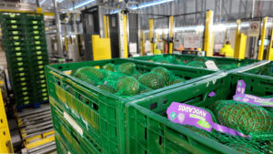 Aldi expands automation at Bardon fresh-food hub