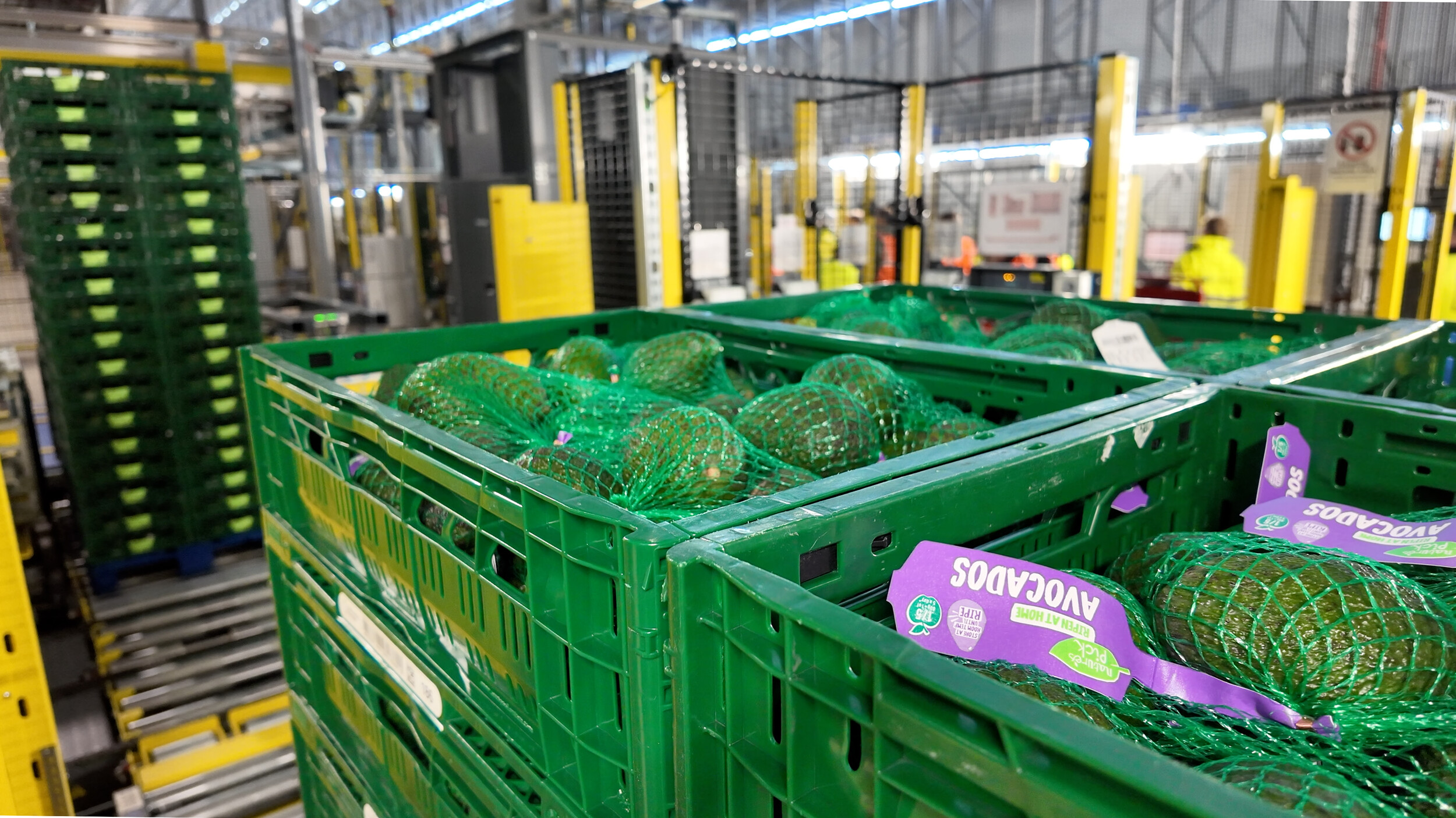Aldi expands automation at Bardon fresh-food hub